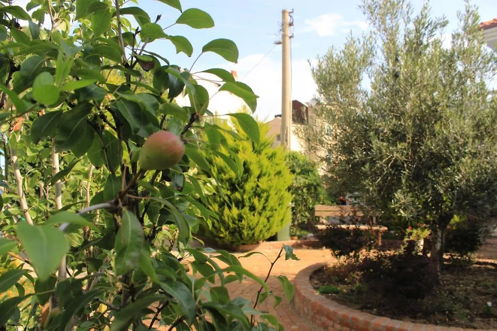 Cundavilla Hotel & Suites Ayvalik Turkey